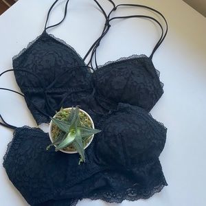 Hollister Gilly Hicks bra